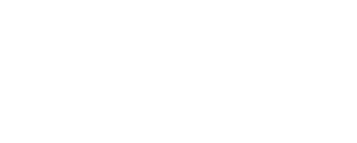 voltbot-logo-beyaz2
